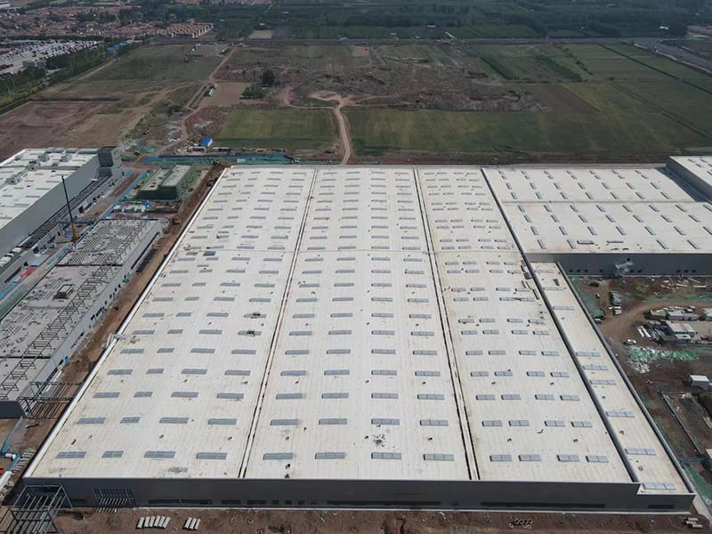 Болот түзүмү комплекстүү кампа