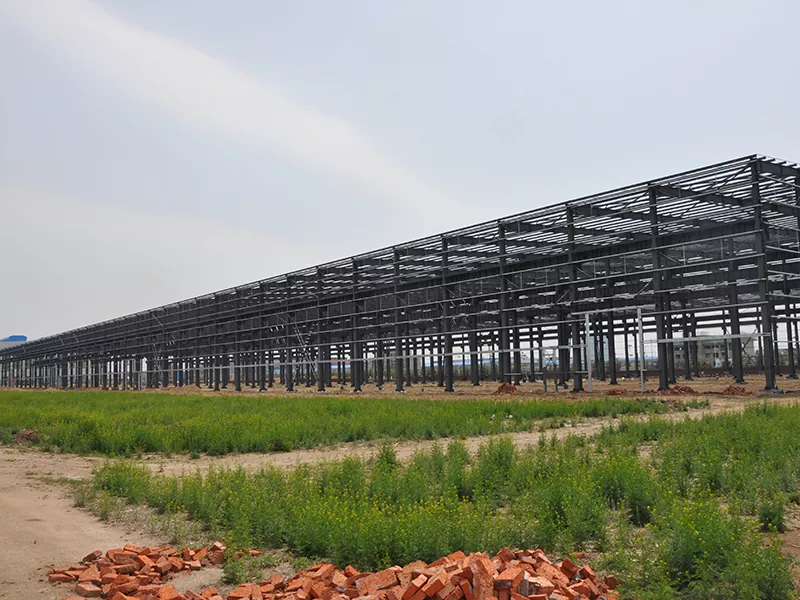 Steel Warehouse Building Cits